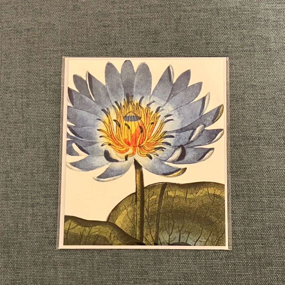 Flower Card